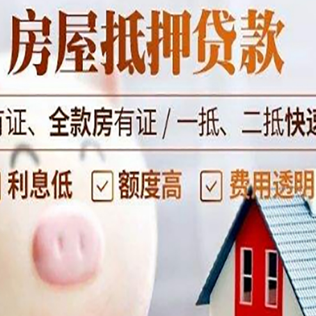 寿县贷款助贷公司新渝启服靠谱公司