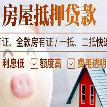 寿县贷款助贷公司新渝启服成立时间久